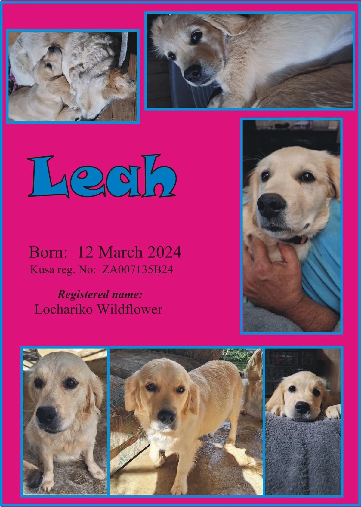 Leah of Lochariko